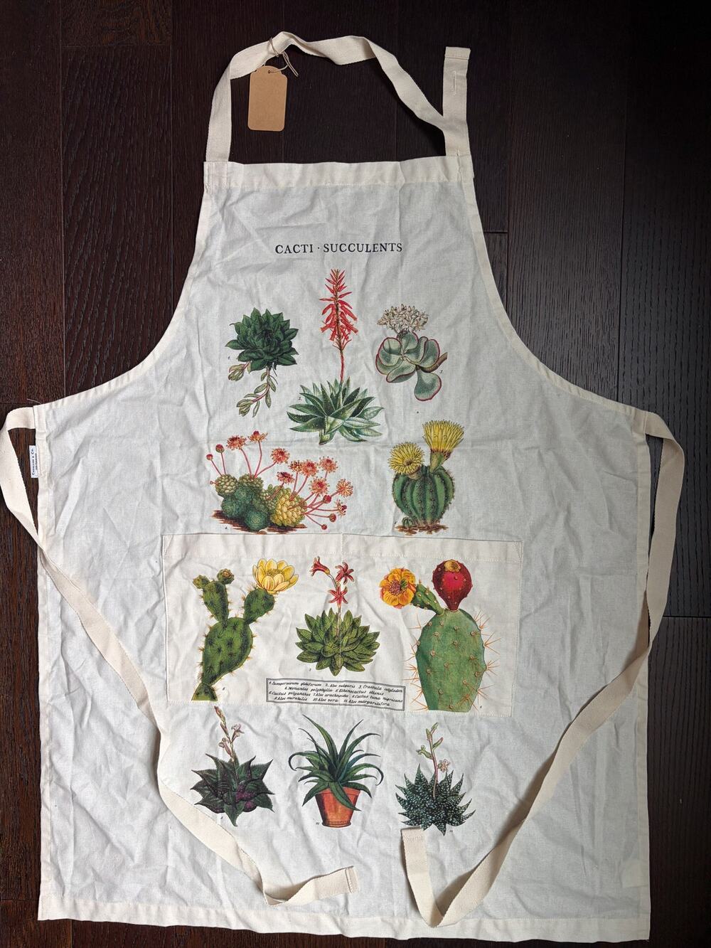 Cavallini & Co. Vintage Style Cacti & Succulents Apron (Ivory)